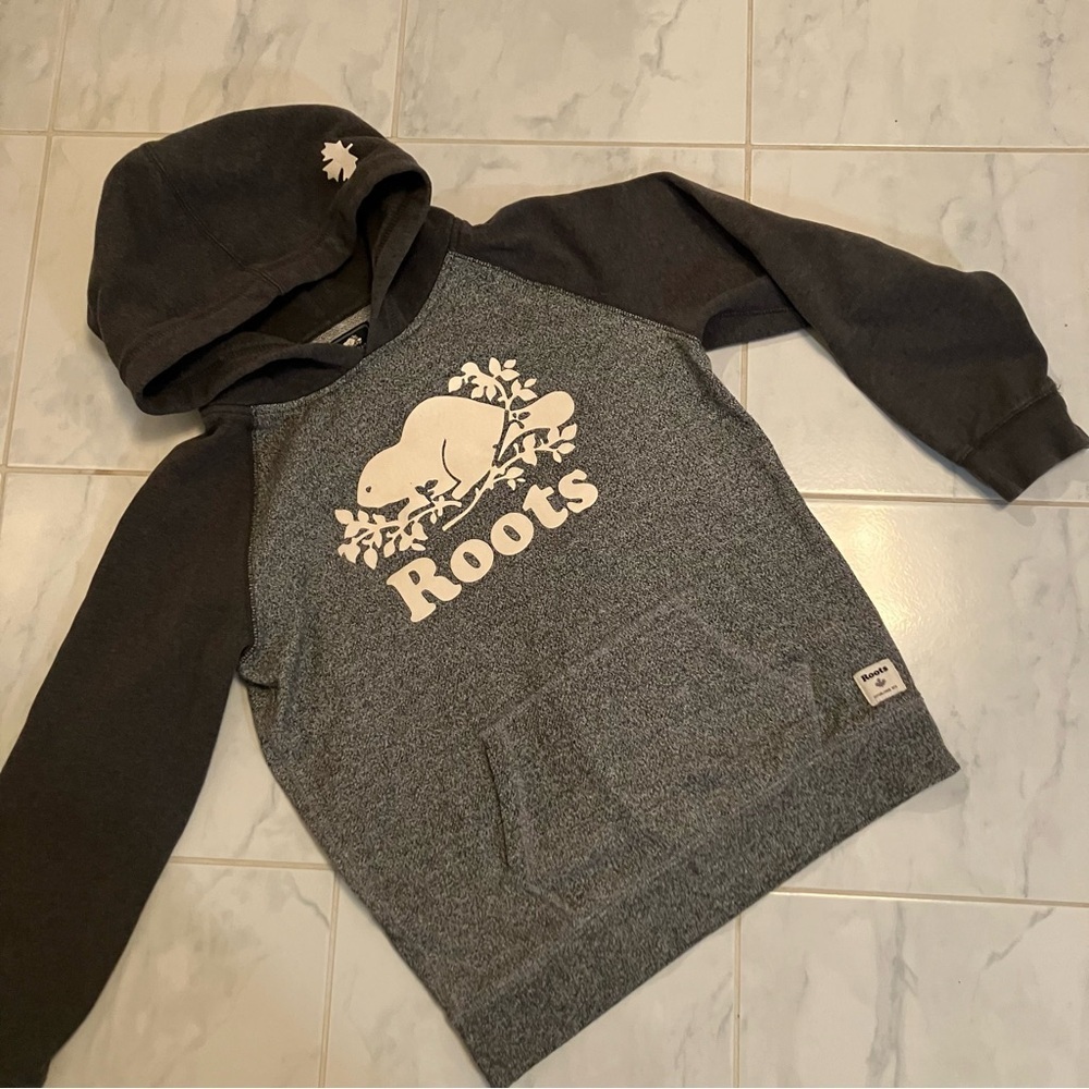 Roots Kids Gray Hoodie